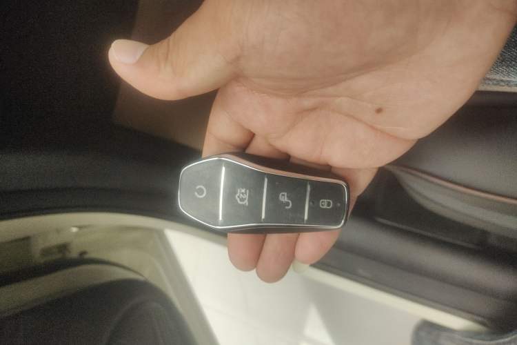 Used BYD Dolphin 2025 420km Free Edition