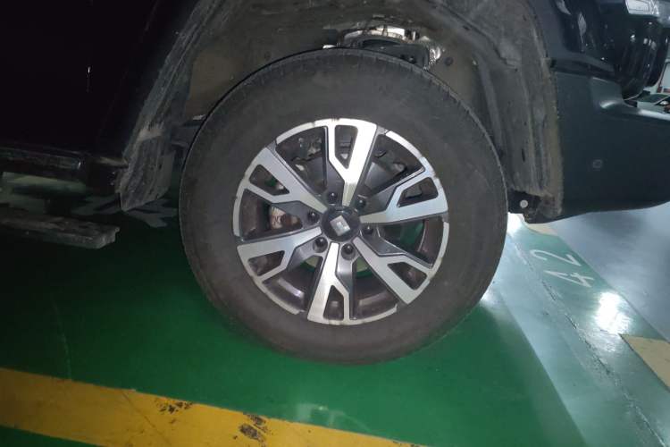 Used Tank 300 2024 2.0T Crosser