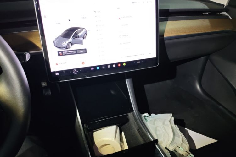 Used Tesla Model 3 2019 Standard Range Rear-Drive Upgraded Version