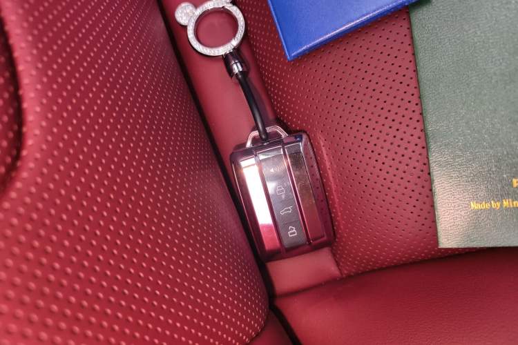 Used Tank 300 New Energy 2025 Hi4-T