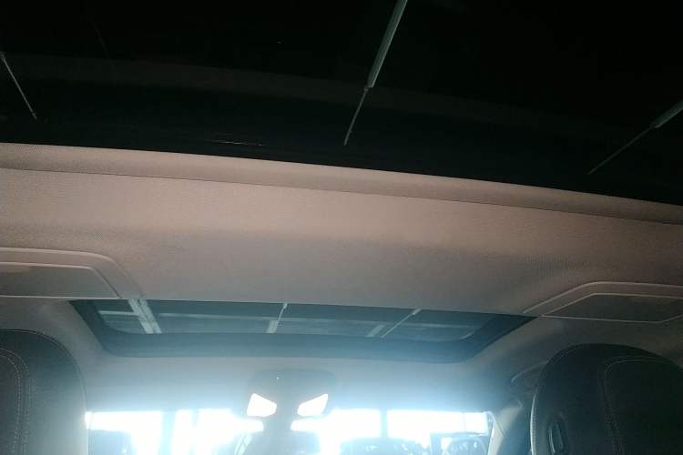 Used BMW 5 Series New Energy 2020 530Le Luxury Package