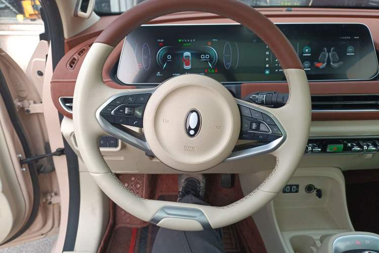 Used ORA Good Cat 2021 400km Standard Range Athena Edition Lithium-Ion Battery
