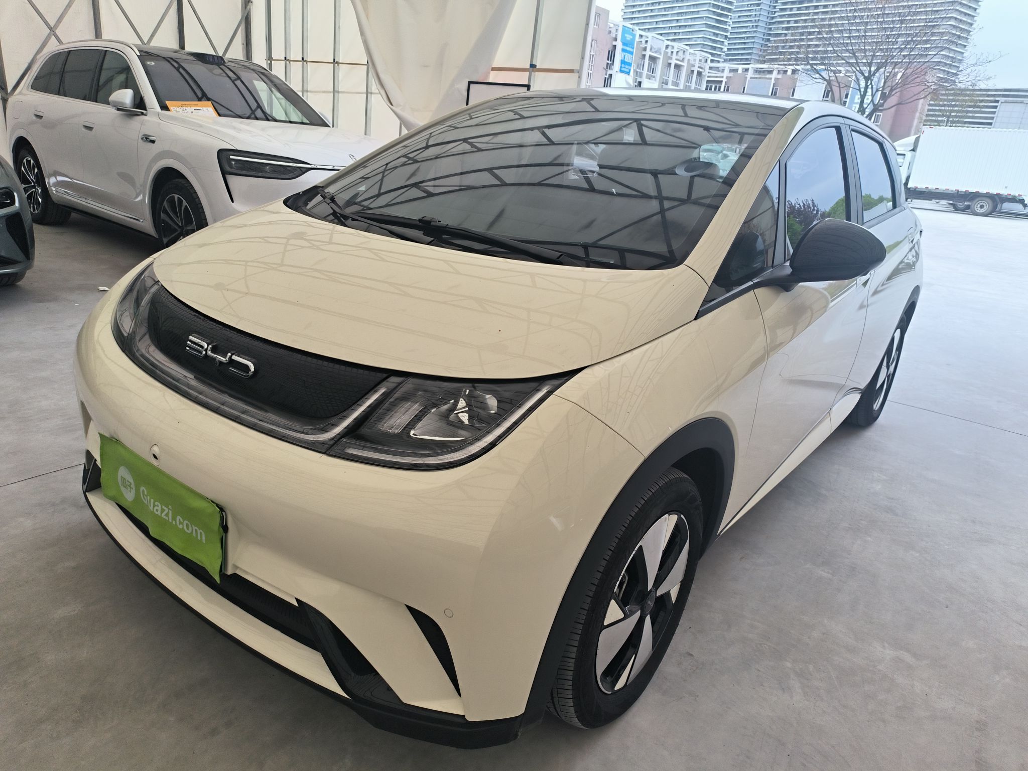 تحت مقدمة السيارة