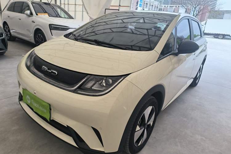 Used BYD Dolphin 2023 420 km Fashion Edition