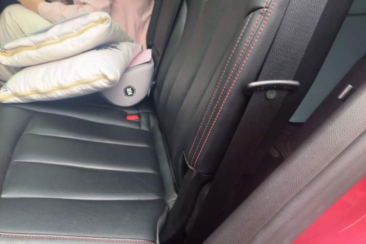 Used BYD Tang New Energy 2019 EV600D Four-Wheel Drive Smart Connectivity Leading Model Left Rear Seat