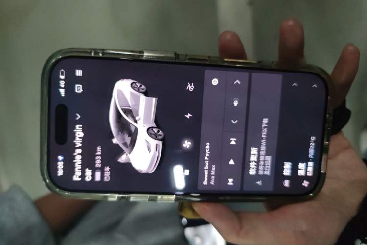 Used Tesla Model 3 2020 Standard Range Rear-Wheel Drive Upgraded Version Vehicle Key