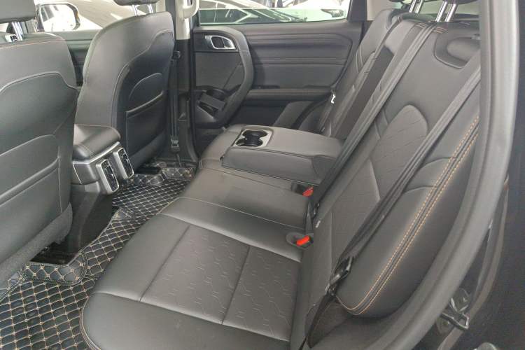 Used Haval DARGO 2024 2.0T DCT Chinese Rural Dog Edition
