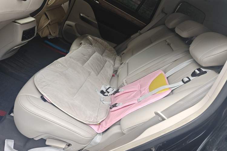 Used GAC Trumpchi GS8 2017 320T Two-Wheel Drive Luxury Smart Connectivity Version (7 Seats)
