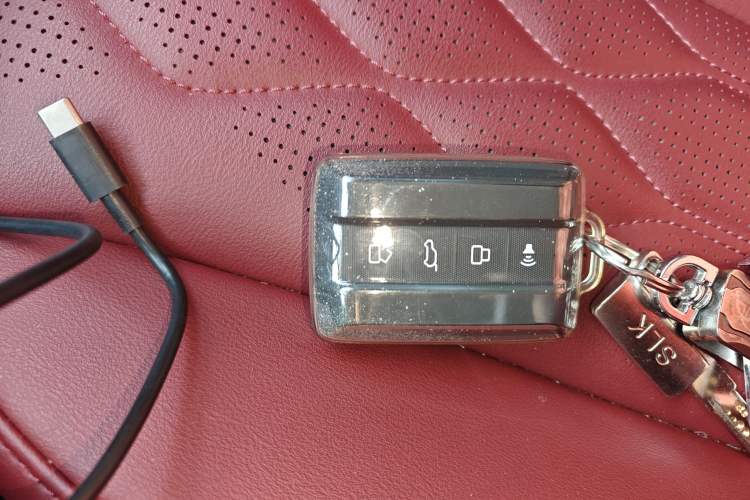 Used Tank 300 2024 2.0T Challenger