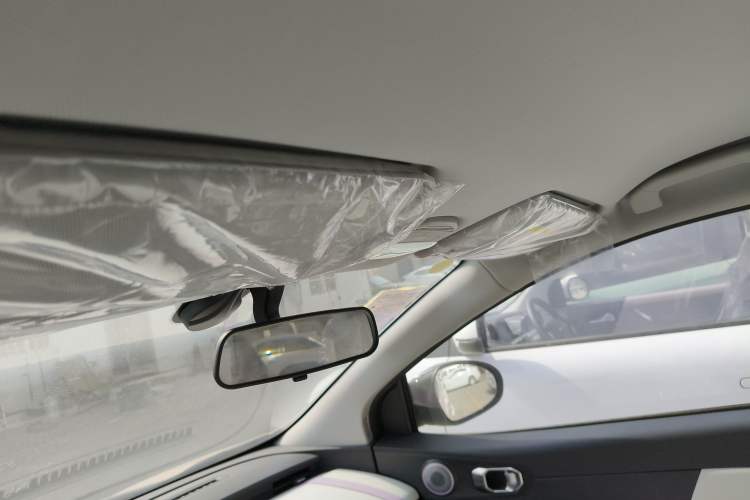 Used Chery Little Ant 2024 Facelifted 321km Beloved Edition Headliner