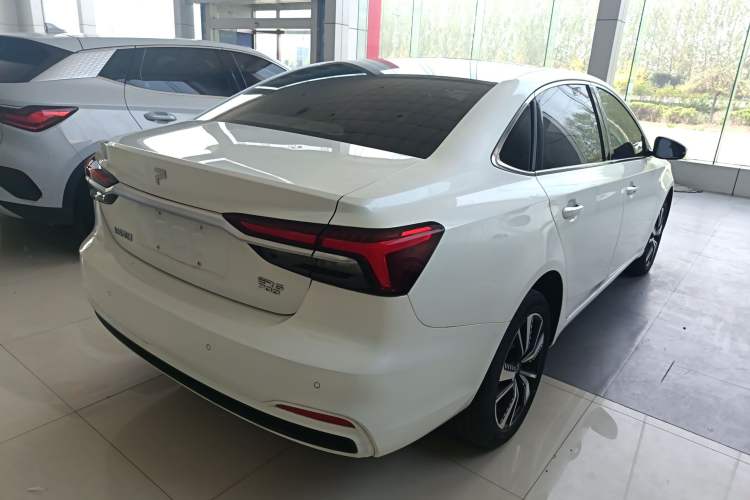 Used Rising ER6 2021 New Dynamic Edition 620km Smart Drive Version