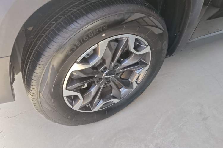 Used Haval DARGO 2024 2.0T DCT Chinese Rural Dog Edition
