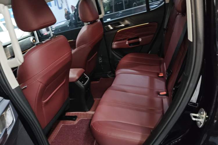 Used Tank 300 2024 2.0T Conqueror