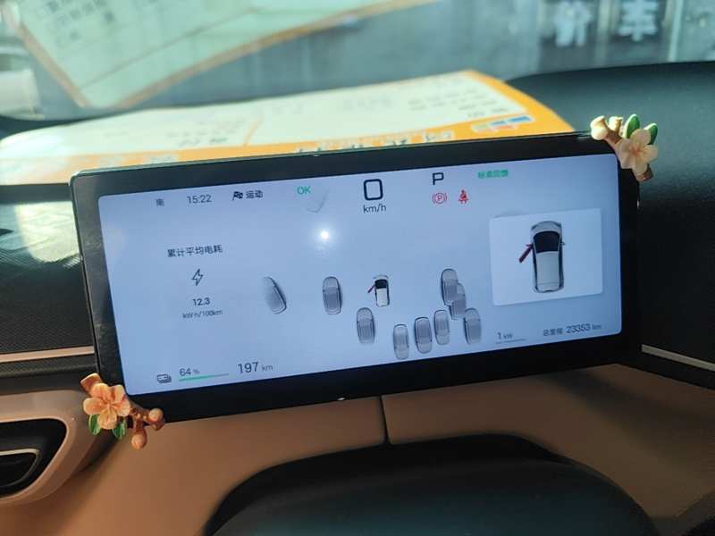 Used BYD Seagull 2025 Smart Drive Version 305 km Freedom Edition — 11