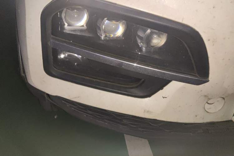 Used Dayun Yuehu 2021 Revised Version 32.85 kWh Two-Wheel Drive Sprite Edition
