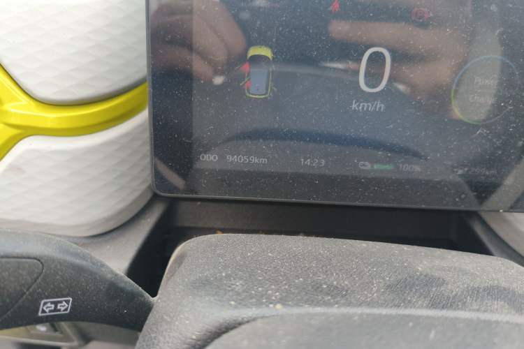 Used SOL E10X 2022 Flower Fairy Design Four-Leaf Clover
