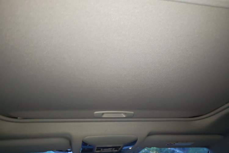 Used Toyota RAV4 2021 2.0L CVT Two-Wheel Drive Fashion PLUS Edition Headliner