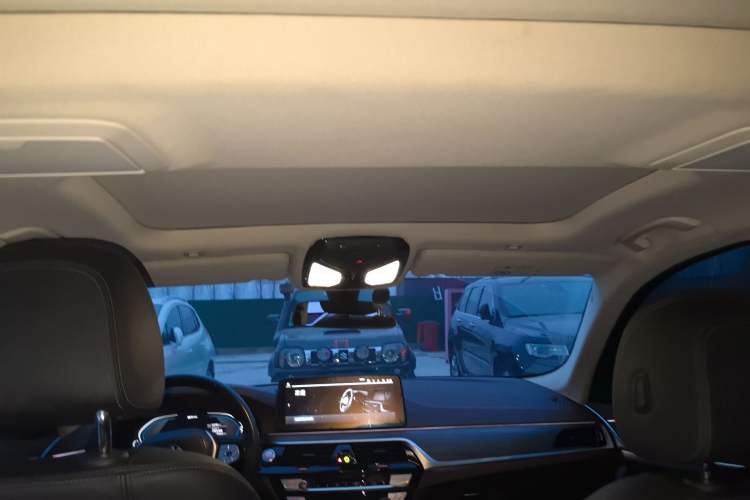 Used BMW 5 Series New Energy 2022 535Le Luxury Package
