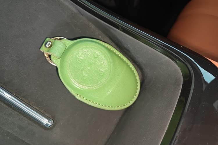 Used AION V 2024 Aion Tyrannosaurus 650 Smart Premium Edition