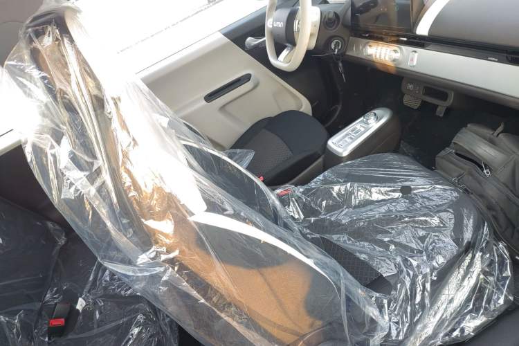 Used Qiyuan Lumin 2026 Model Treasure Edition 205km Passionate Beige Ningde