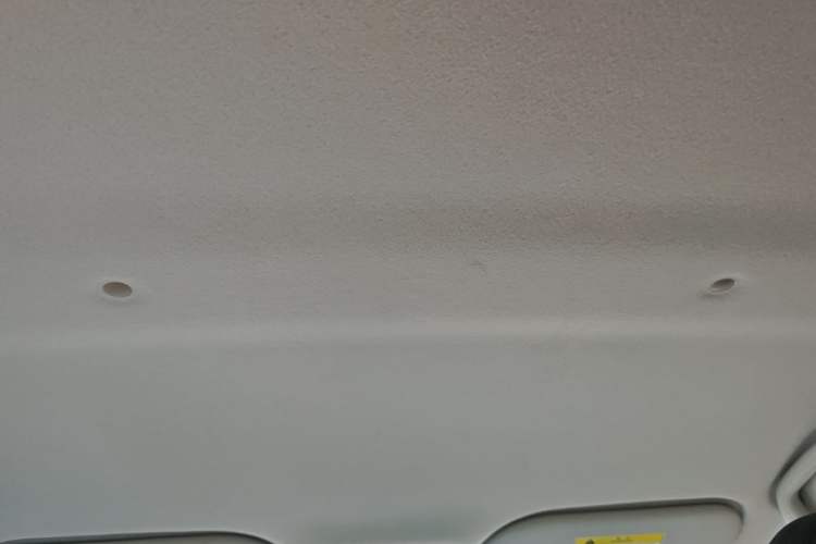 Used SOL E10X 2022 Flower Fairy Design Sunflower Headliner