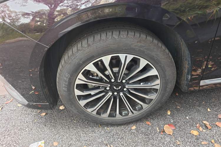 Used Wuling Victory 2023 2.0L DHT Luxury Edition