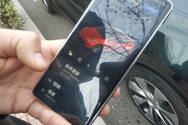 Used Tesla Model Y 2022 Rear-Wheel-Drive Version
