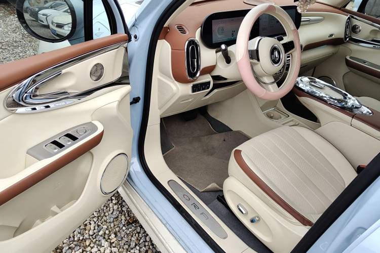 Used ORA Ballet Cat 2023 401 km Luxury Version
