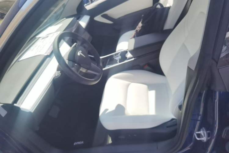 Used Tesla Model 3 2020 Revised Version Standard Range Rear-Wheel Drive – Upgraded Edition