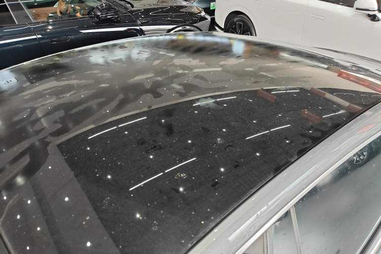 Used XPeng P7 2020 670N Roof