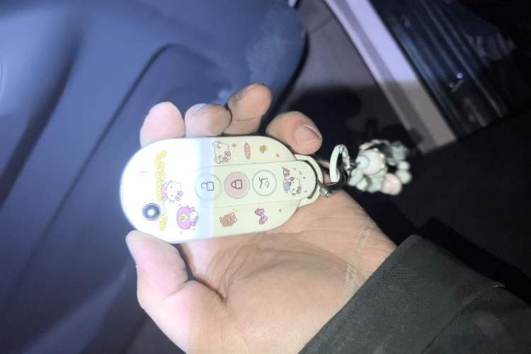 Used Wuling Hongguang MINIEV 2022 Macaron Fashion Model Lithium Iron Phosphate
