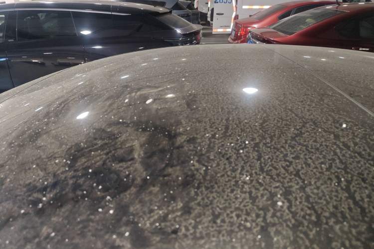 Used Tesla Model 3 2020 Long-Range Rear-Wheel-Drive Version Roof