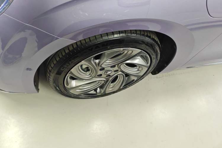 Used ORA Lightning Cat 2022 555 km Luxury Edition Exterior 4