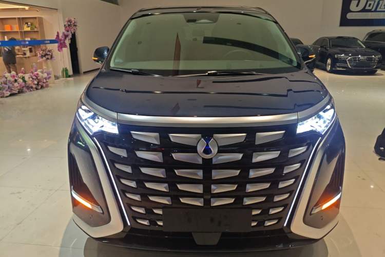 Used Denza D9 2022 DM-i 970 Four-Wheel Drive Flagship Model Front