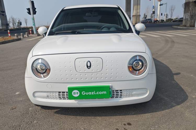 Used ORA Black Cat 2022 301km Base Version Ternary Lithium