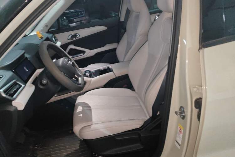 Used BYD Yuan UP 2024 401KM Leading Edition
