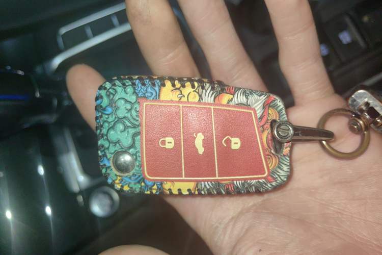 Used Volkswagen Golf Pure Electric 2020 Chari Vehicle Key