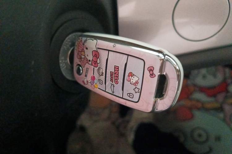 Used Qiyuan Lumin 2022 210km Sweet Edition