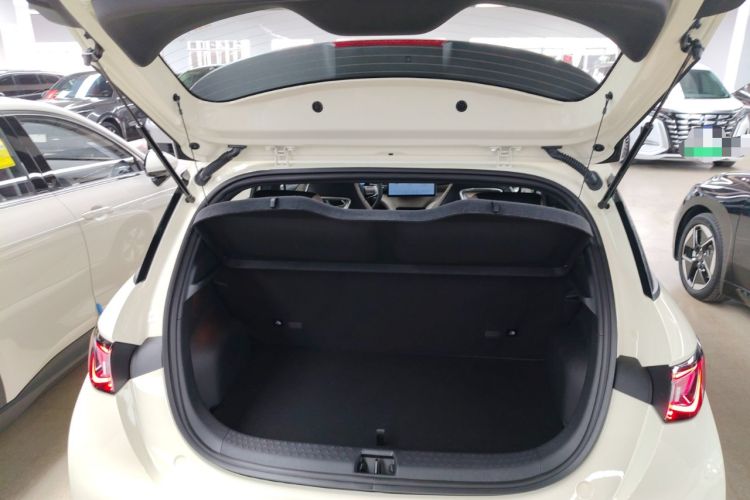 Used BYD Dolphin 2025 420km Free Edition