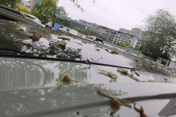 Used Buick GL6 2018 18T 6-Seater Elite Model
