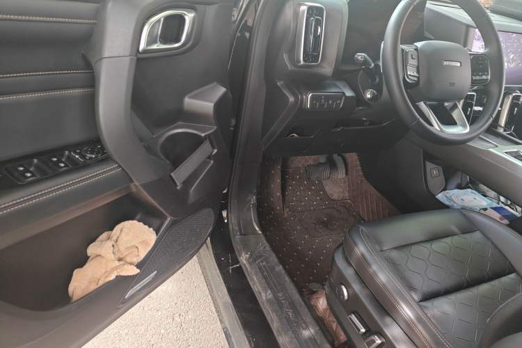 Used Haval DARGO 2024 1.5T DCT Border Collie Edition Driver Seat