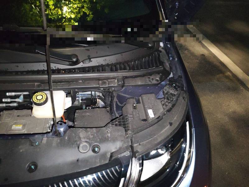 Used BYD Dolphin 2025 420km Free Edition — 23
