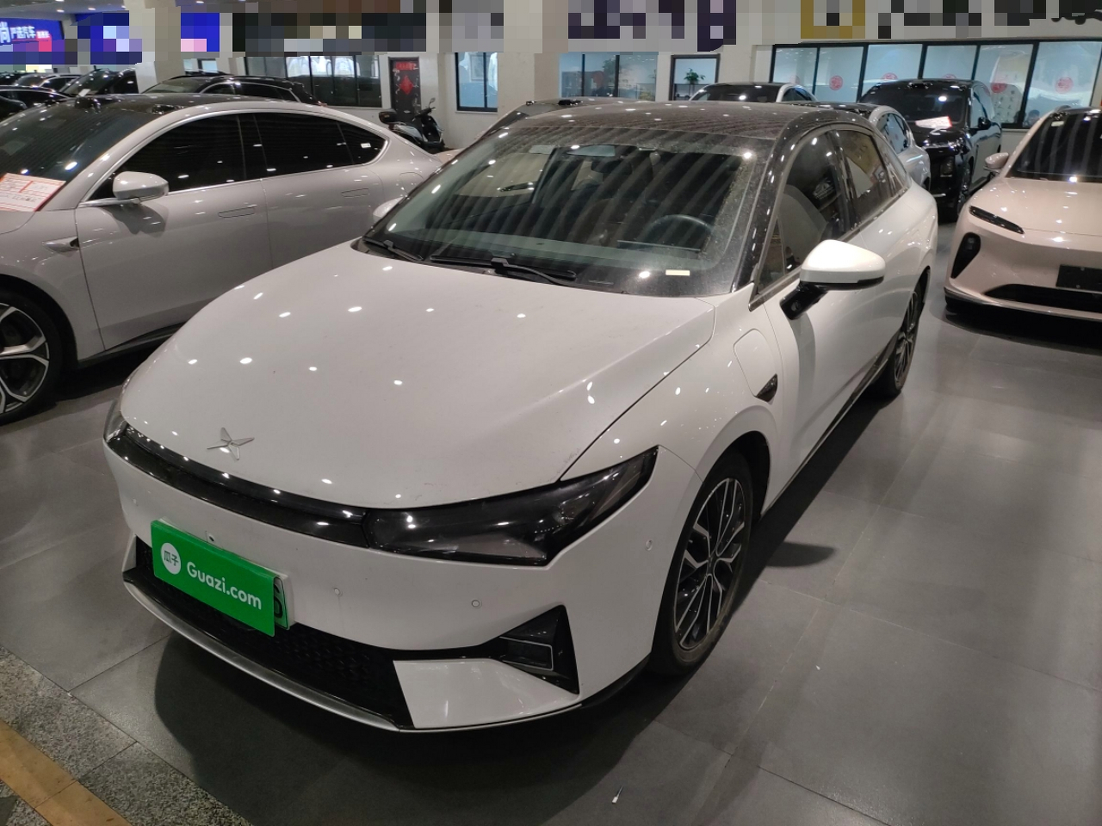 Parte inferior delantera