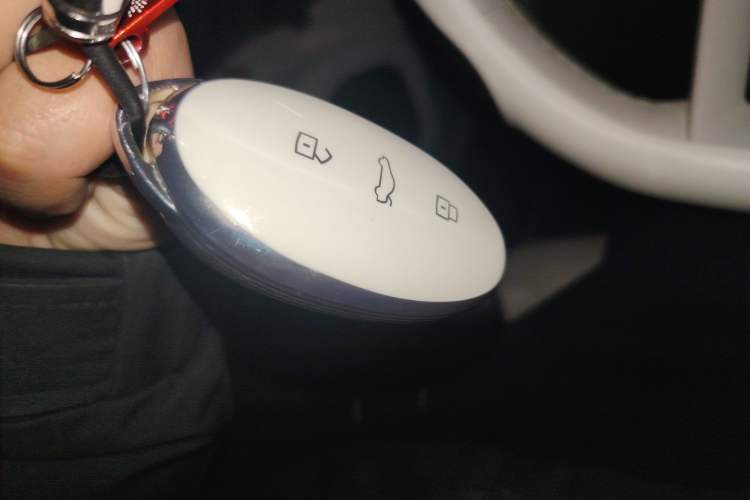 Used Rising R7 2023 Rear-Drive Screen King Edition