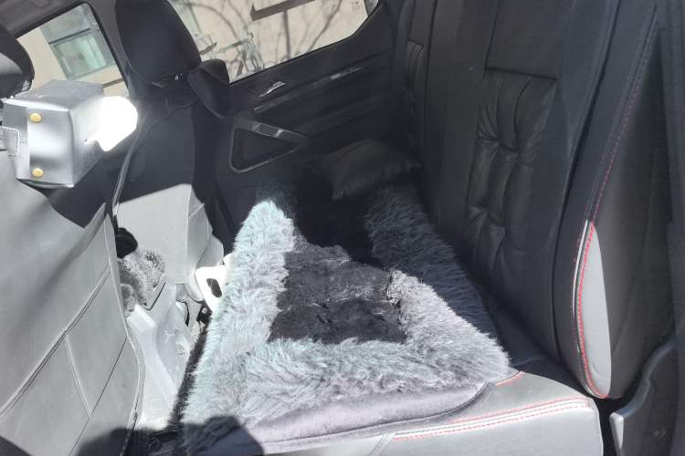 Used Huanghai Weilong 2019 2.4T Gasoline Manual 4x4 Ultimate Edition China VI 4K22D4T
