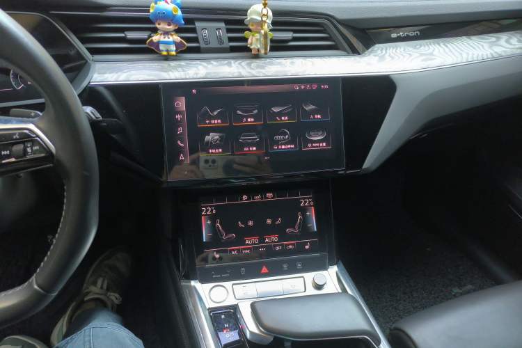 Used Audi e-tron 2019 55 quattro Technology Edition
