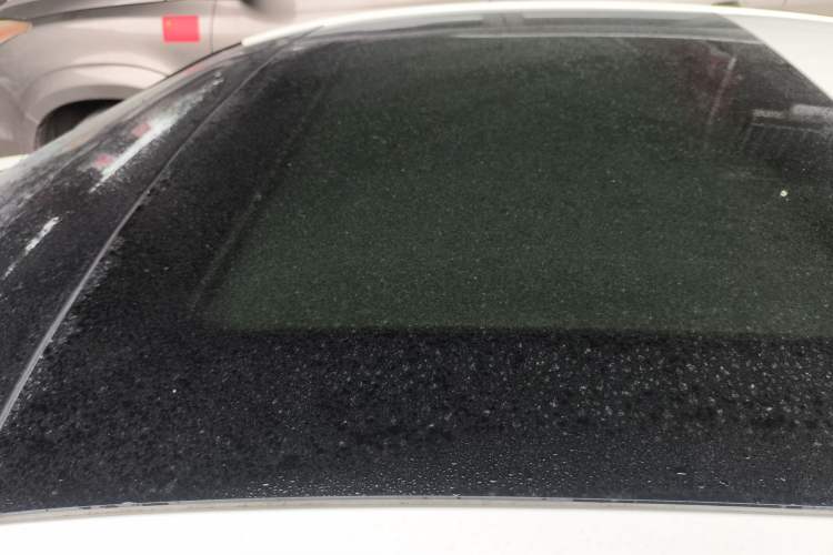 Used Ford Focus 2019 Sedan EcoBoost 180 Automatic Trend Edition