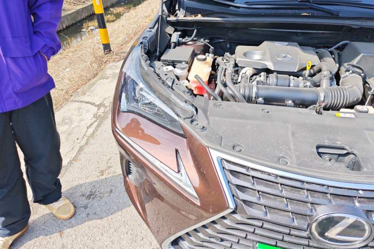 Used Lexus NX 2018 300 Front-Drive Freeline Edition Right Front Headlight