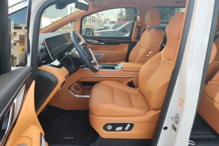 Used Wey Gaoshan 2023 Four-Wheel Drive Flagship Edition