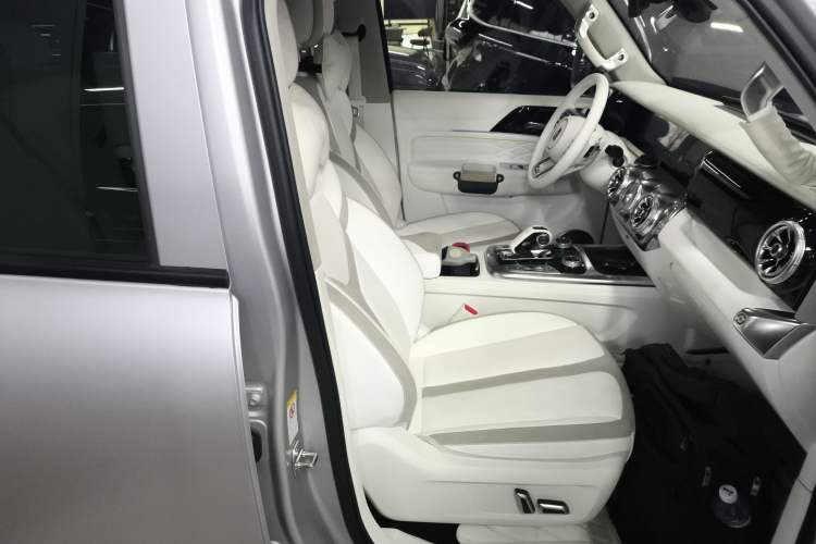 Used Cyberspace Tank 300 2021 2.0T Cyber Tank